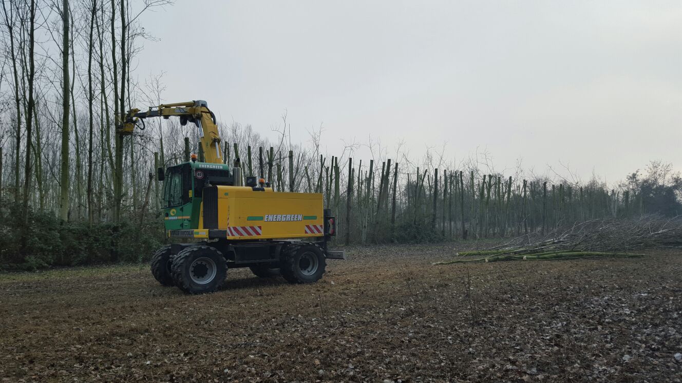 AGRICOLA SANT'ILARIO 1