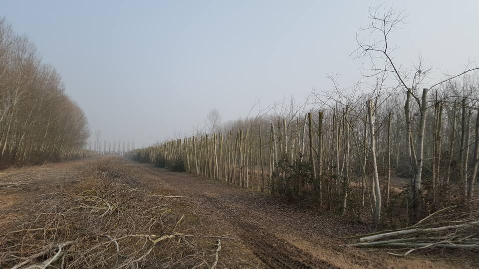 AGRICOLA SANT'ILARIO 2