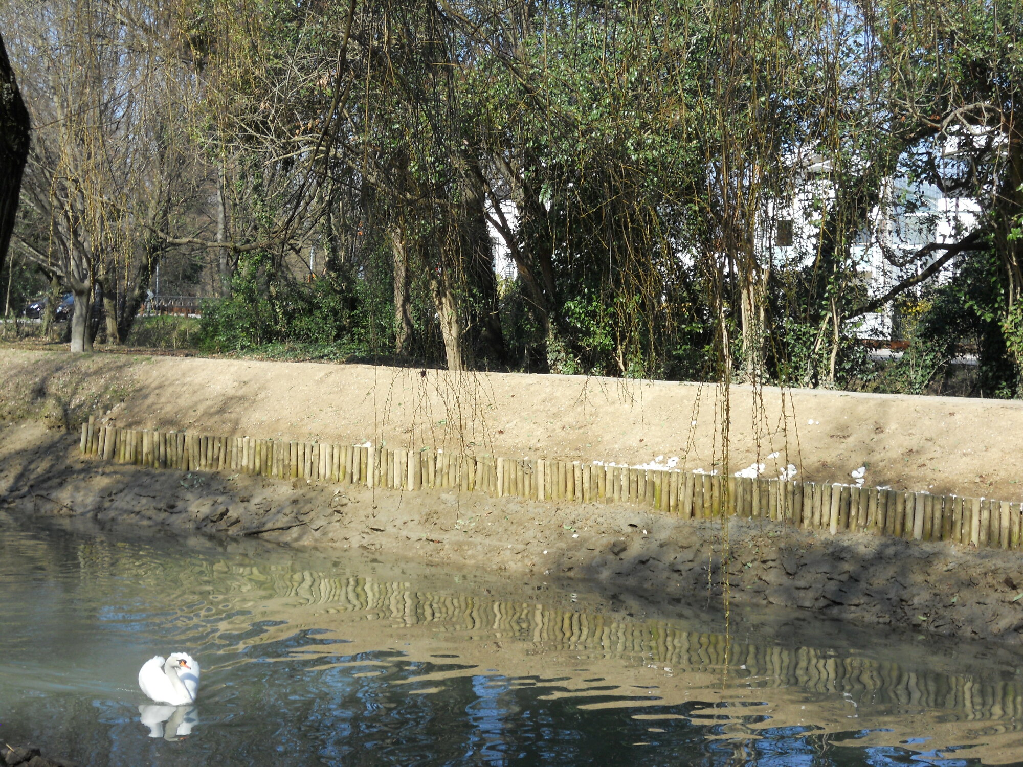 DSCN0147